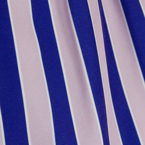 BIG LINES PURPLE